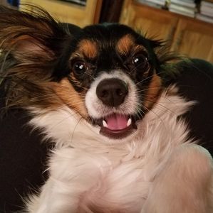 Meet your Posher, Lindsay